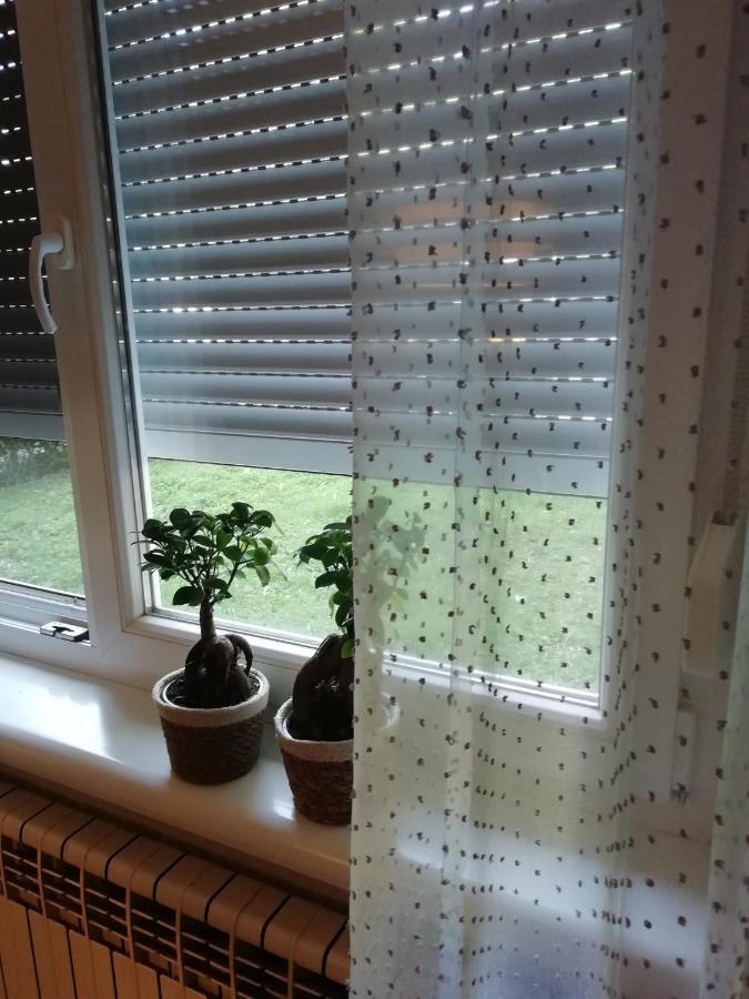 Sarmantni Apartman Malecka Zagreb Eksteriør bilde