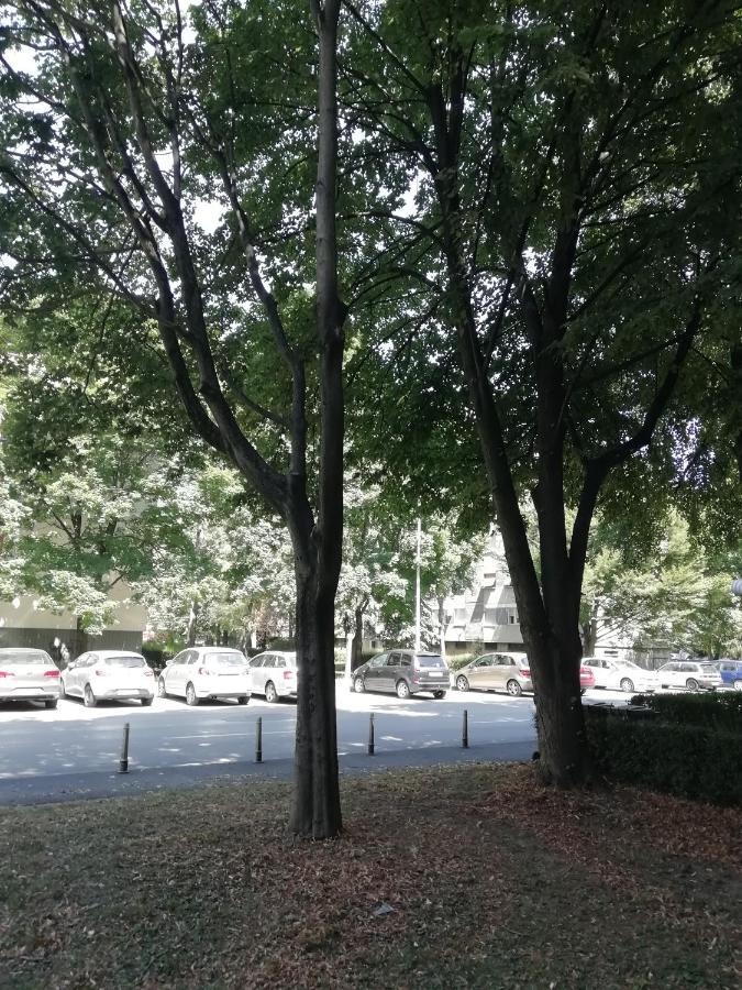 Sarmantni Apartman Malecka Zagreb Eksteriør bilde